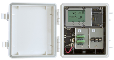 日出水了特别黄的视频