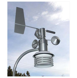 日出水了特别黄的视频