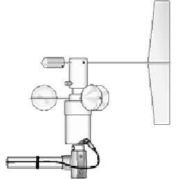 日出水了特别黄的视频