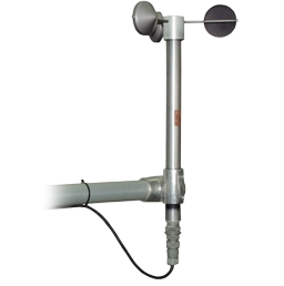 日出水了特别黄的视频