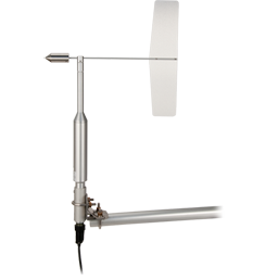 日出水了特别黄的视频