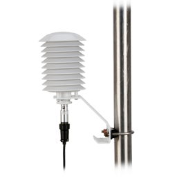 日出水了特别黄的视频