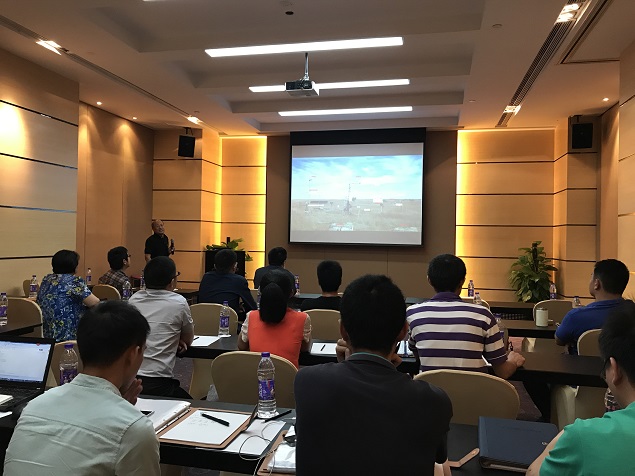 日出水了特别黄的视频