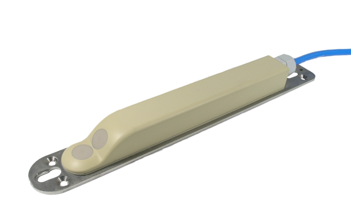 日出水了特别黄的视频
