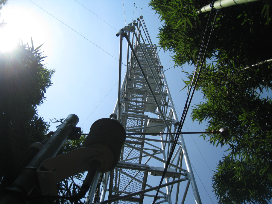 日出水了特别黄的视频