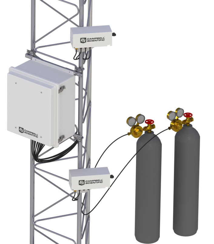 日出水了特别黄的视频