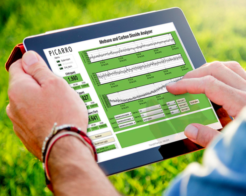 日出水了特别黄的视频