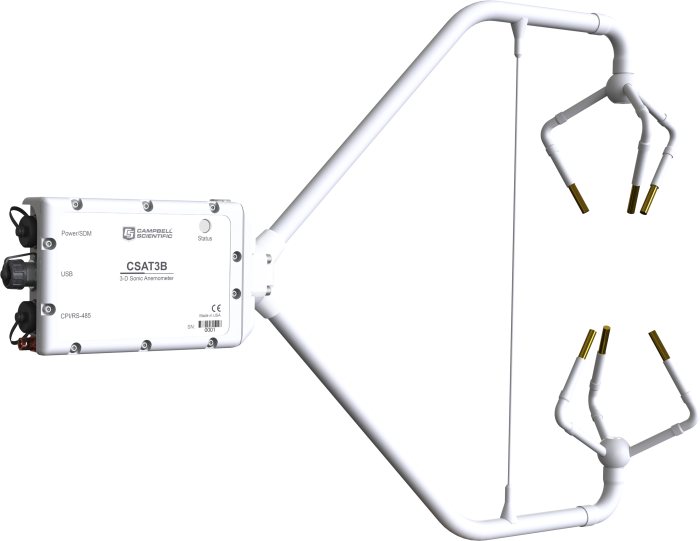 日出水了特别黄的视频