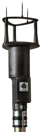 日出水了特别黄的视频