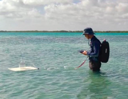 日出水了特别黄的视频