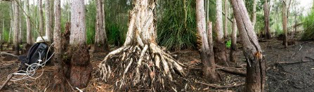 日出水了特别黄的视频