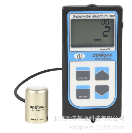 日出水了特别黄的视频