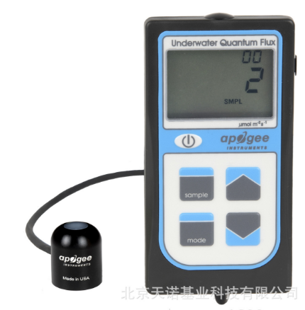 日出水了特别黄的视频