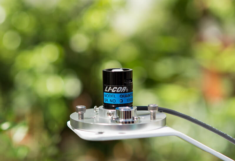 日出水了特别黄的视频