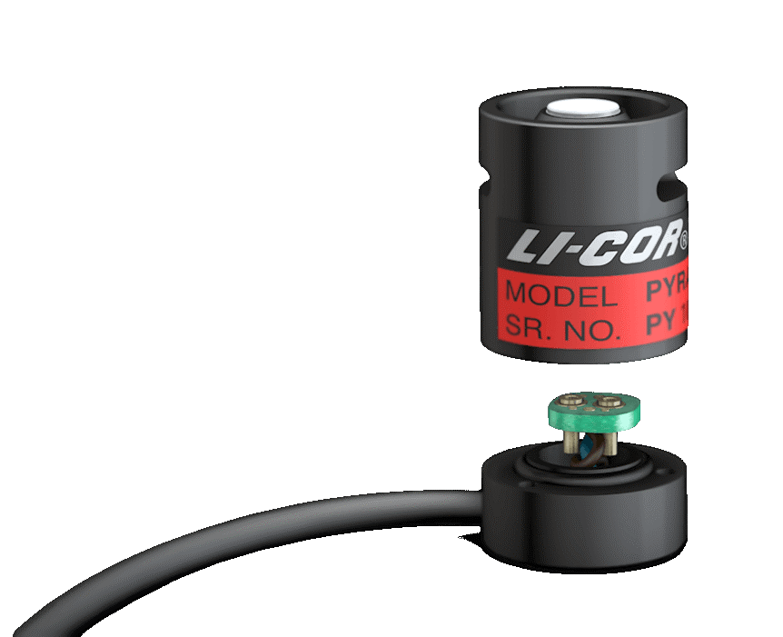 日出水了特别黄的视频