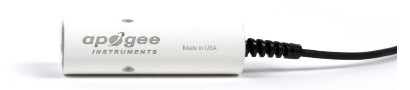 日出水了特别黄的视频