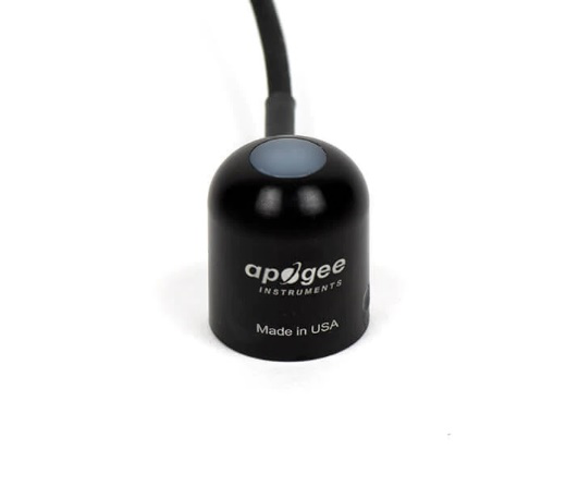 日出水了特别黄的视频