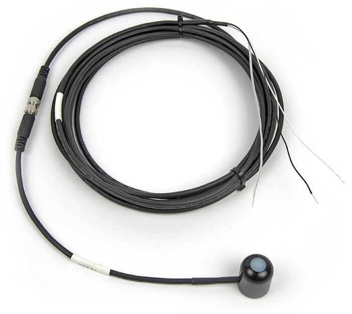 日出水了特别黄的视频