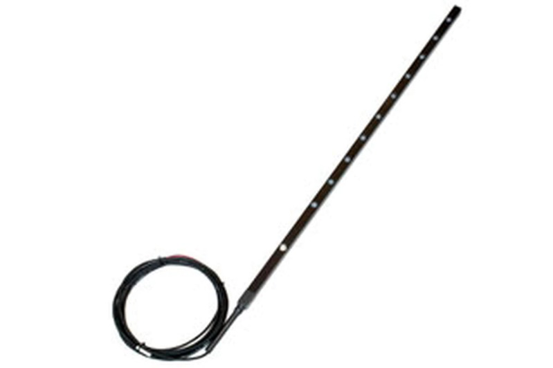 日出水了特别黄的视频