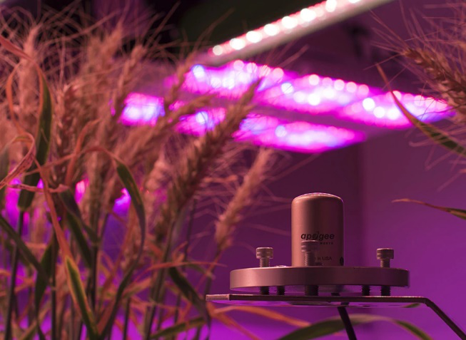 日出水了特别黄的视频