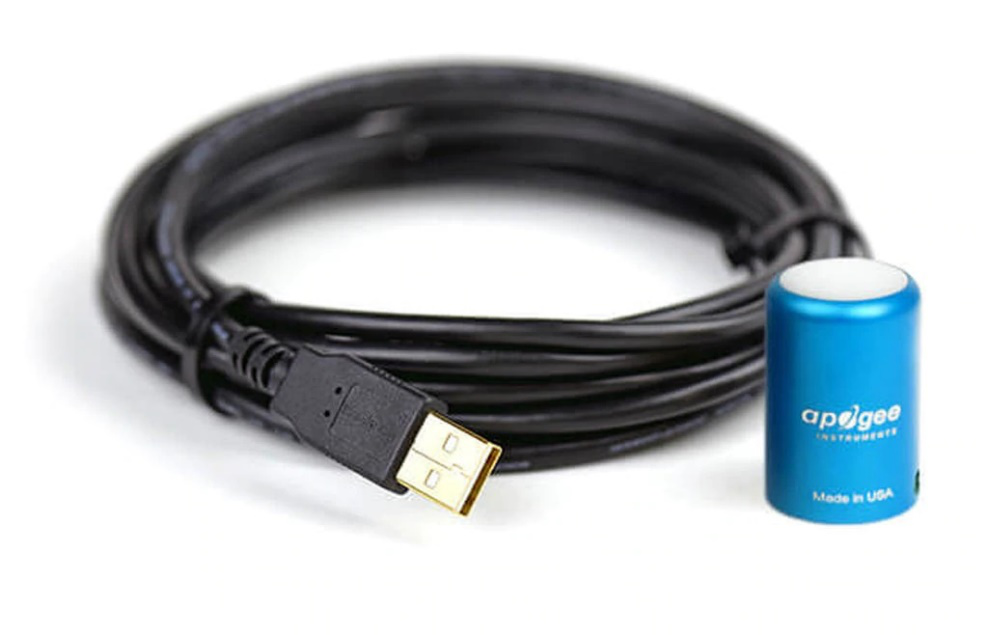 日出水了特别黄的视频