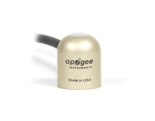 日出水了特别黄的视频