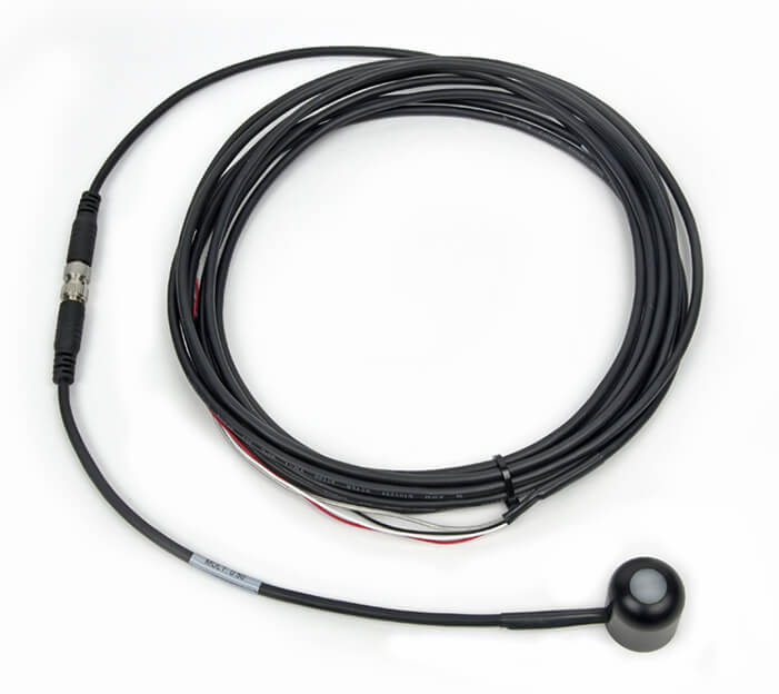 日出水了特别黄的视频