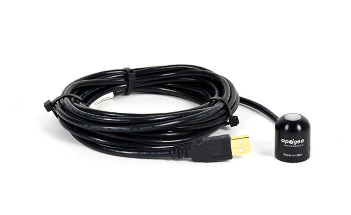 日出水了特别黄的视频