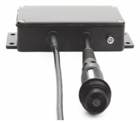 日出水了特别黄的视频