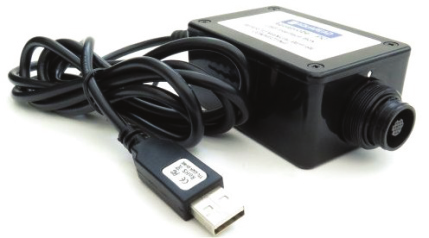 日出水了特别黄的视频