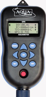 日出水了特别黄的视频