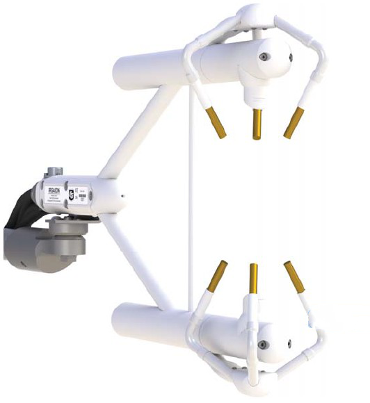 日出水了特别黄的视频
