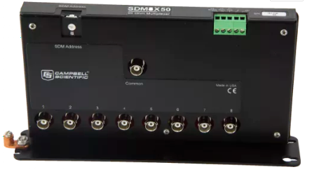 日出水了特别黄的视频