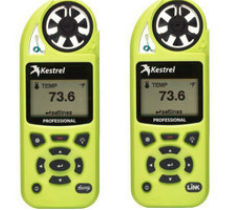 日出水了特别黄的视频