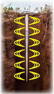 日出水了特别黄的视频