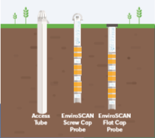 日出水了特别黄的视频