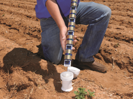 日出水了特别黄的视频