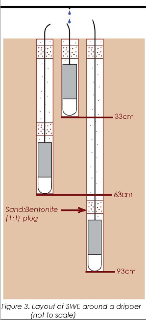 日出水了特别黄的视频