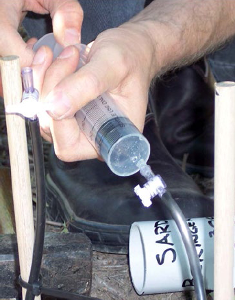 日出水了特别黄的视频