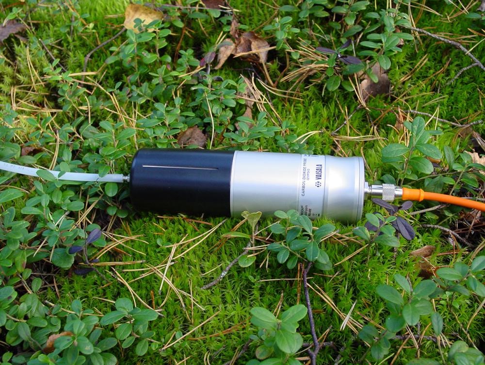 日出水了特别黄的视频