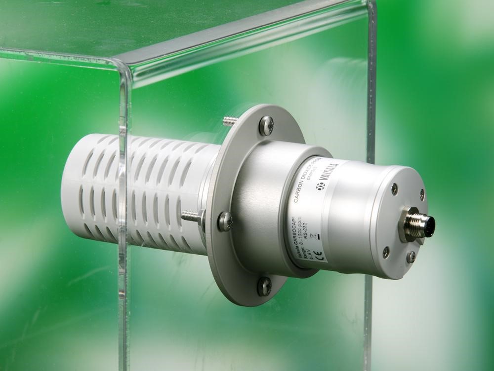 日出水了特别黄的视频