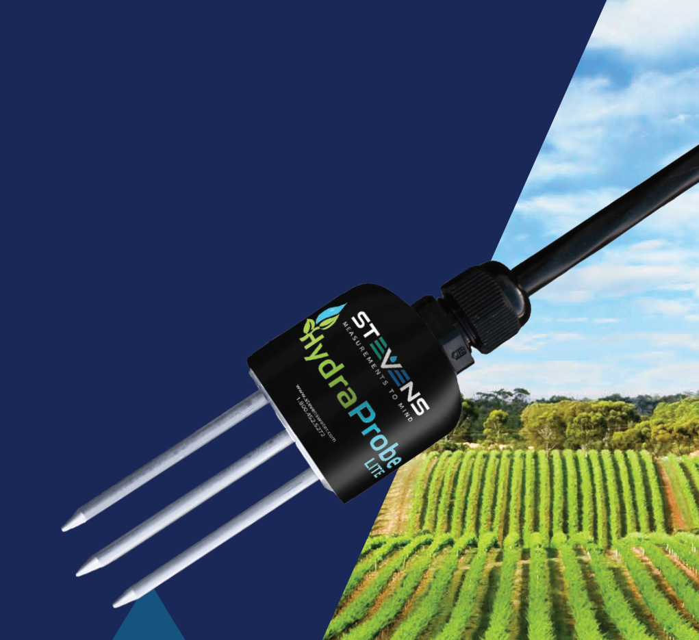 日出水了特别黄的视频