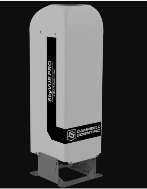 日出水了特别黄的视频