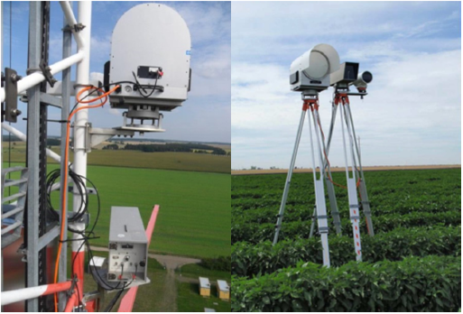 日出水了特别黄的视频