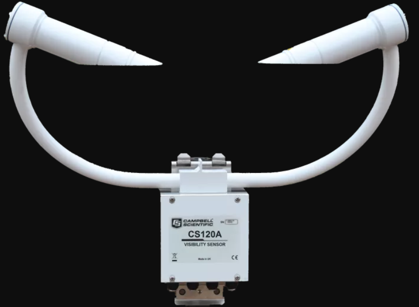 日出水了特别黄的视频