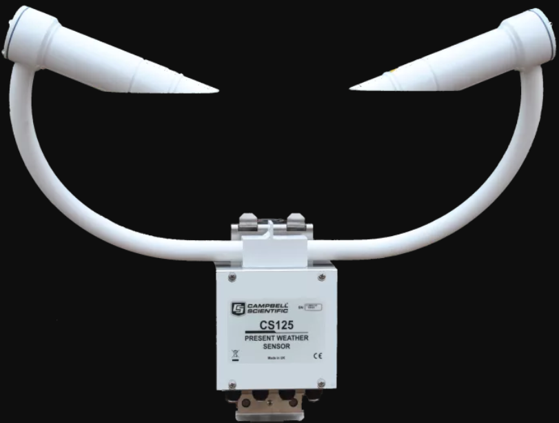 日出水了特别黄的视频