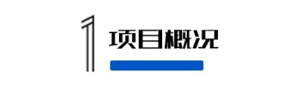 日出水了特别黄的视频