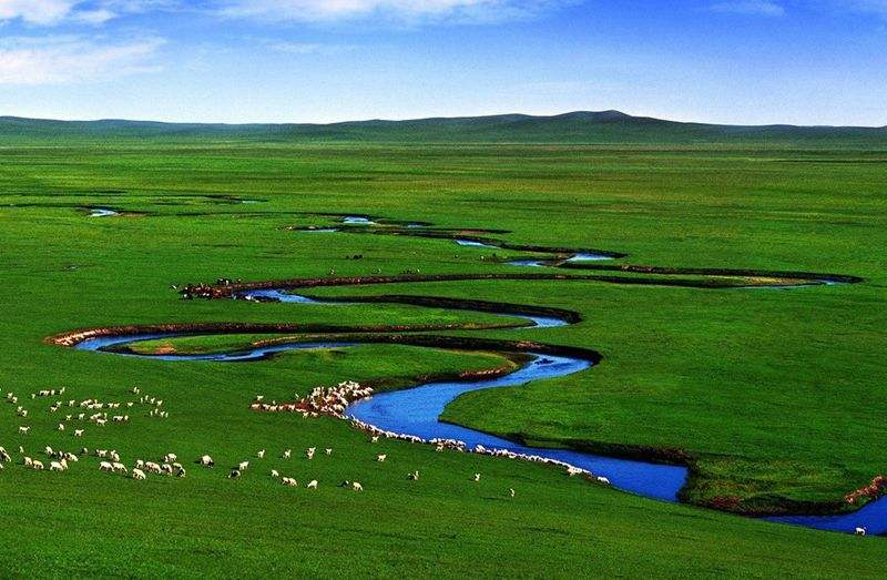 日出水了特别黄的视频