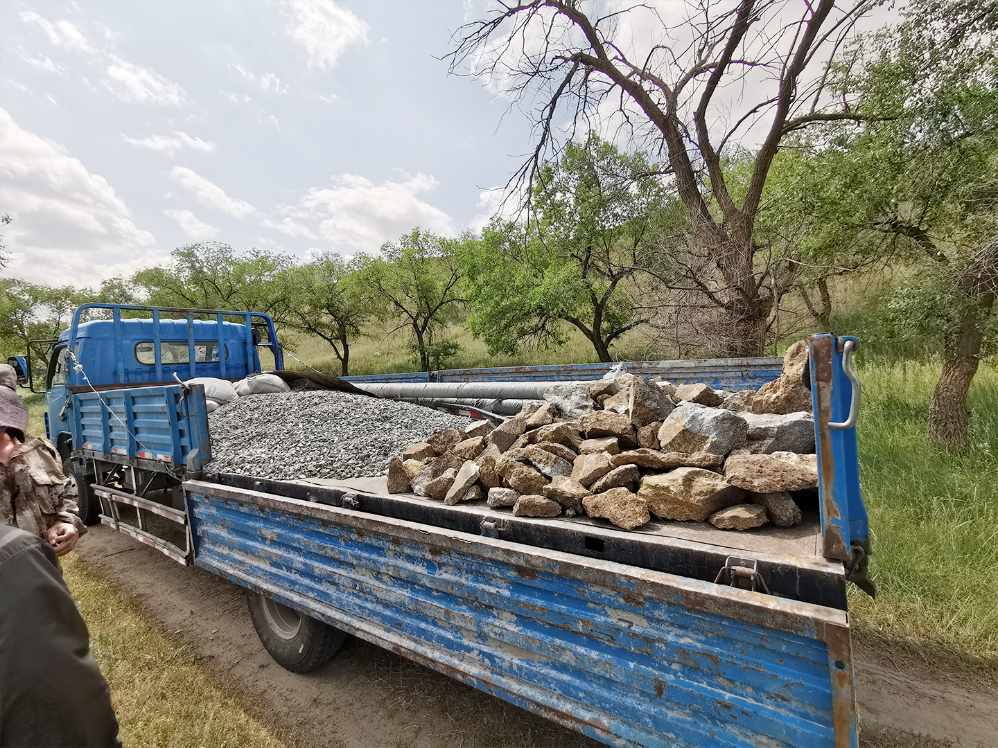 日出水了特别黄的视频