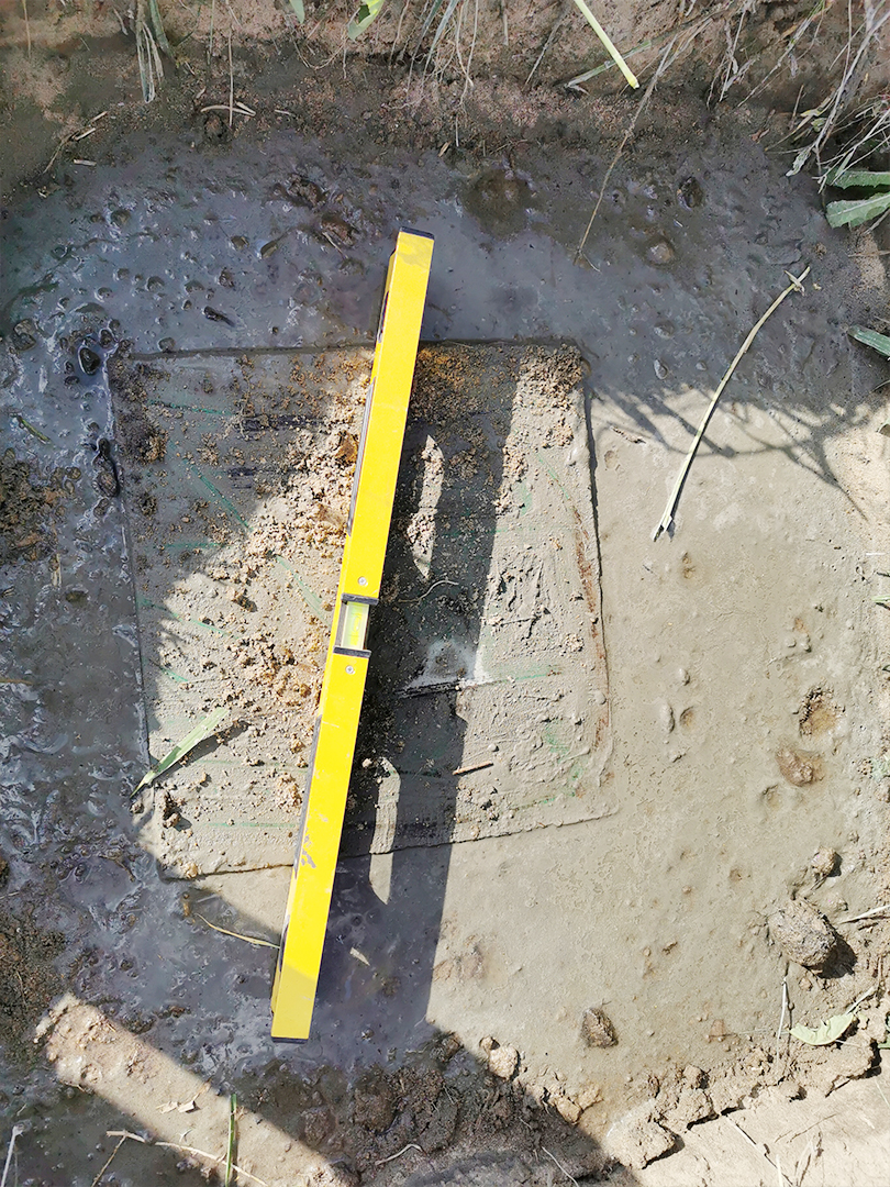 日出水了特别黄的视频